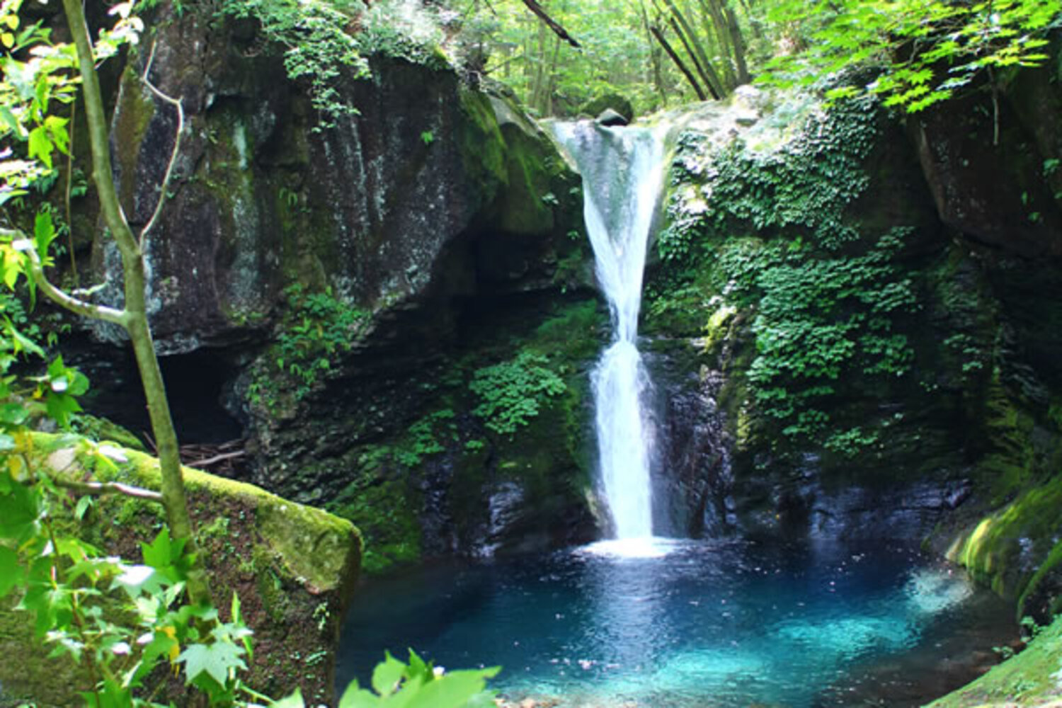 栃木県那須デートスポットランキング☆地元民おすすめ10選大日本観光新聞
