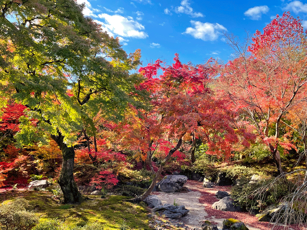 京都散歩ナビ～宝筐院へのアクセス、地図、周辺情報など～