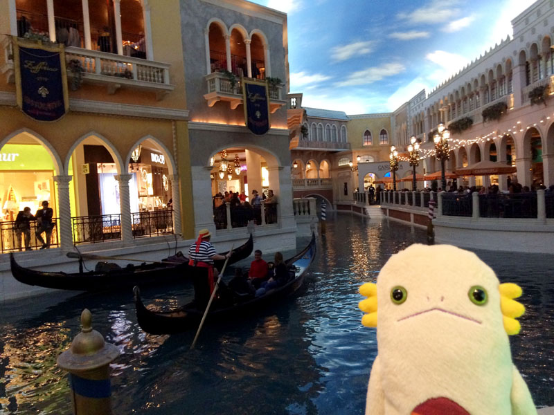 ラスベガスの風景 ベネチアンホテル「グランド・キャナル・ショップス」の写真素材108386784- PIXTA