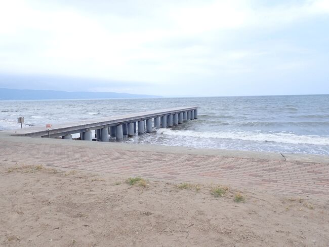4ページ目 花の島・佐渡を路線バスで巡る旅トビシマカンゾウと岩ユリを愛でる 絶景＆美食、花巡りの贅沢旅通いたくなる島、佐渡