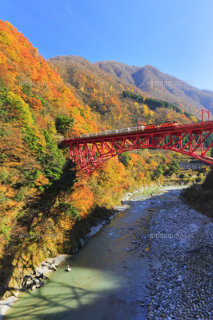 黒部峡谷 トロッコ電車と紅葉 アクセス・イベント情報