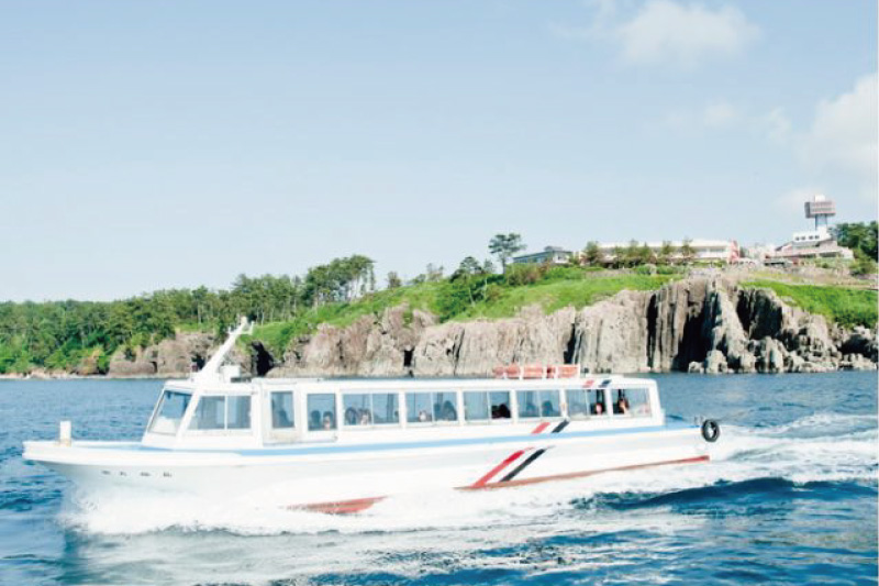 船から見る絶景東尋坊観光遊覧船株式会社 公式ホームページ