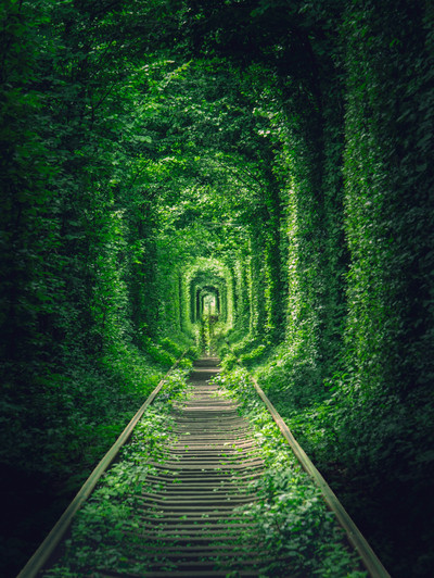 緑の絶景！「恋のトンネル」がどこにあるか知ってる？GENIC WEB編集部GENICジェニック