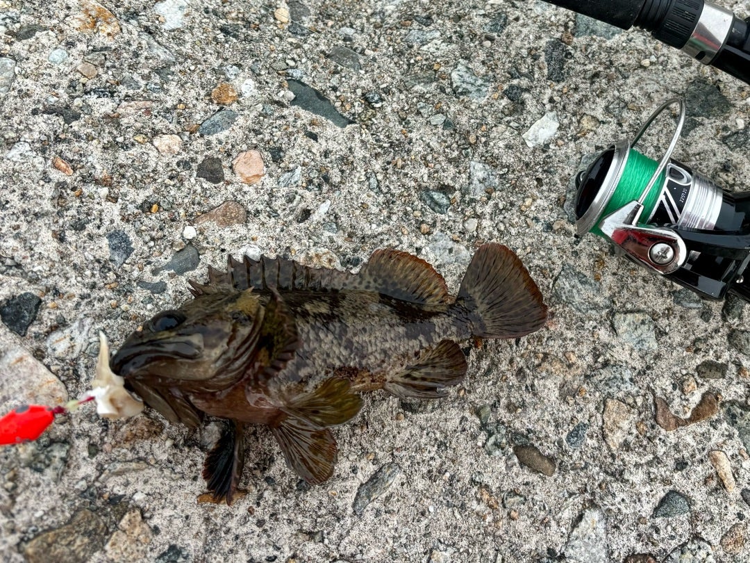 富山県滑川と魚津、黒部、下新川Mitsuhiro