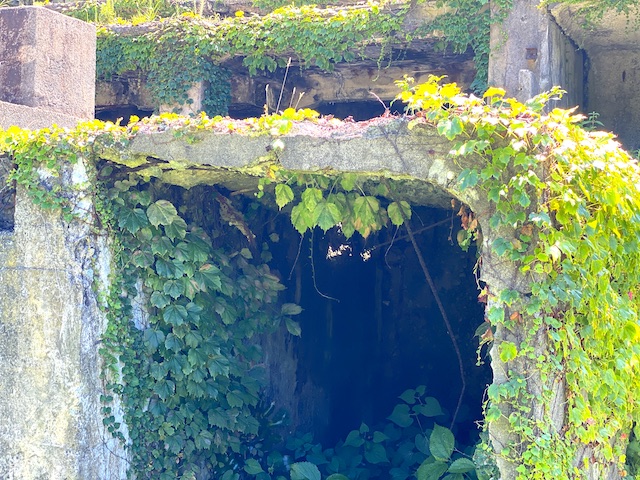 佐渡島のラピュタの昼間and夜佐渡 sado sadoisland新潟niigata北沢浮遊選鉱場跡相川aikawa世界遺産になるかもnextworldheritage佐渡金山を世界遺産にラピュタラピュタの世界観ライトアップ