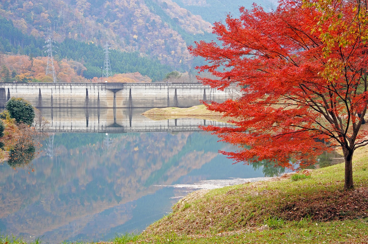 京都るり渓温泉にプライベート温泉付きヴィラ誕生へ 愛犬OK！プールや子供の遊び場もいこーよニュース