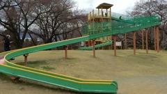 伊那市 三峰川榛原河川公園 と