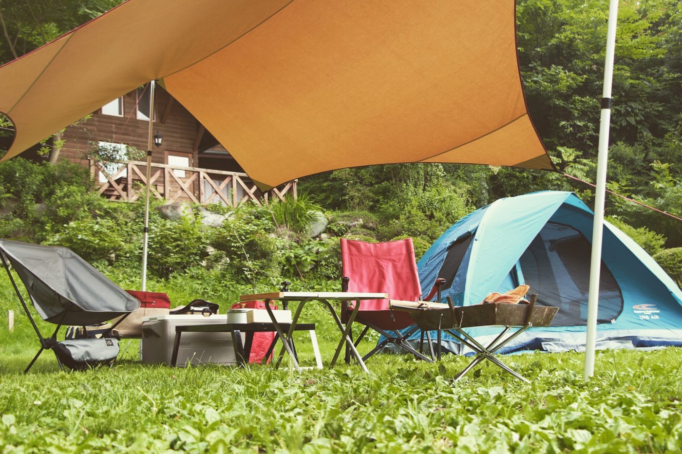 公式 損保ジャパン on