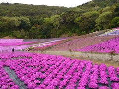 安乗埼 あのりさき 灯台・安乗岬園地伊勢志摩バリアフリーツアーセンタ