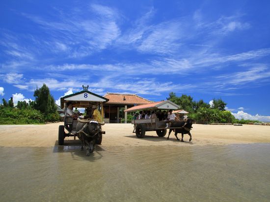 水牛車に乗って島へ渡ろう 沖縄・由布島菅野ノリヒコ
