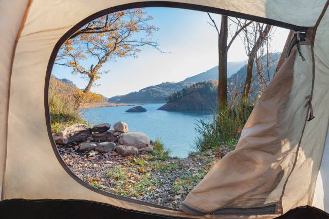 実例アリ センス無くてもできる！キャンプで映える写真を撮影する”簡単”５つのコツ koeda'sファミリーキャンプ- エキスパート -Yahoo!ニュース