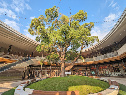 倉敷市倉敷地区 買い物ついでに遊べちゃう！アリオ倉敷と三井アウトレットパークの間にある水と緑に癒される空間 倉敷みらい公園