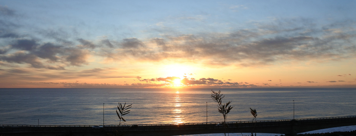 ケイルの朝日和 初日の出を拝みに海岸へ鎌倉市ケイル