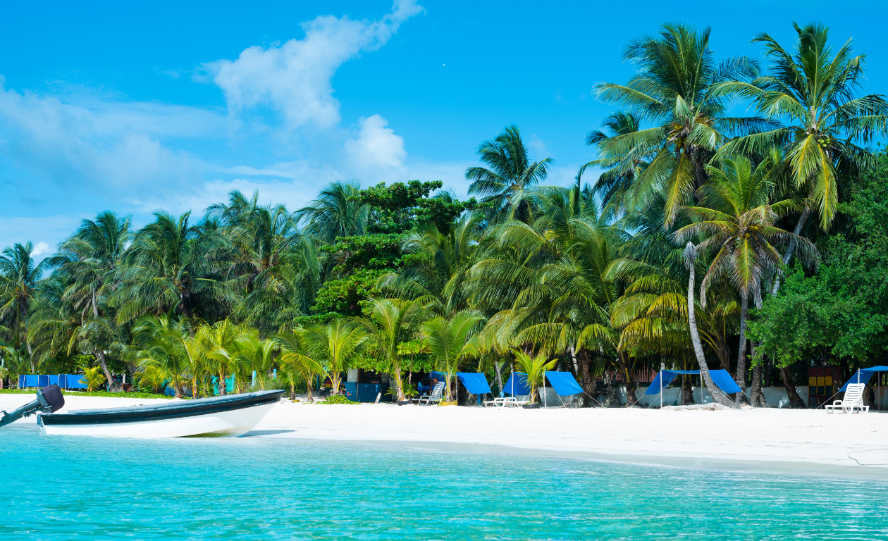 青年の島, キューバのダイブクルーズ - LiveAboard.com