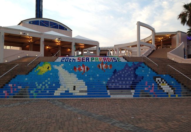 シーパラのジェットコースター「サーフコースター リヴァイアサン」 一番高いところで44m、最高速度は75