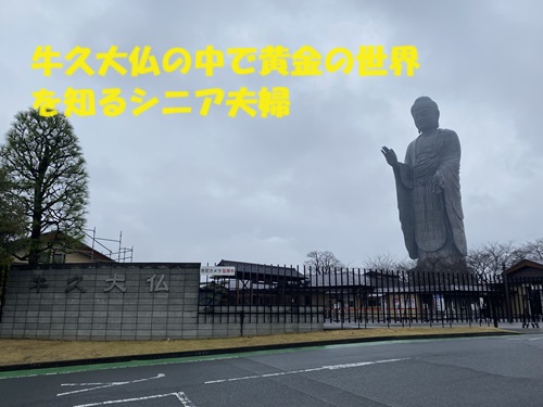 ギネス世界記録に認定された高さ120ｍの牛久大仏！内部まで見どころがいっぱいの立像の秘密とは