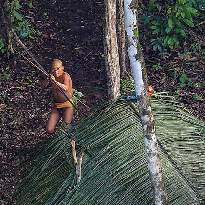 RFJについて特定非営利活動法人 熱帯森林保護団体 RFJ