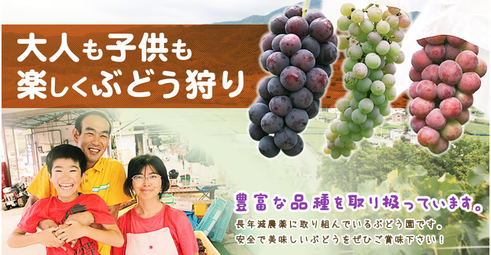 山梨県勝沼にあるぶどう狩り・直売のお店 - ぶどうばたけ