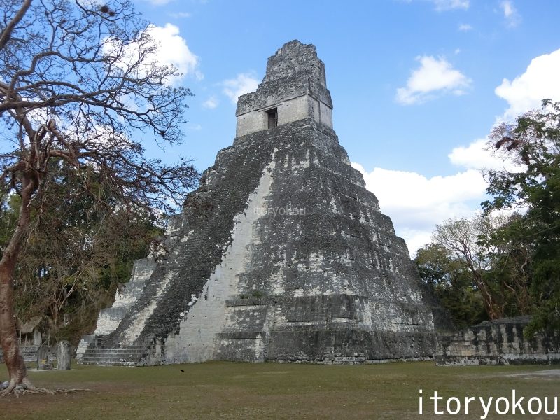 グアテマラ ロマンあふれる古代マヤ文明ティカル遺跡