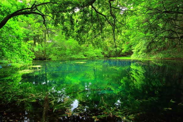 丸池様の地図アクセス・クチコミ観光ガイド旅の思い出