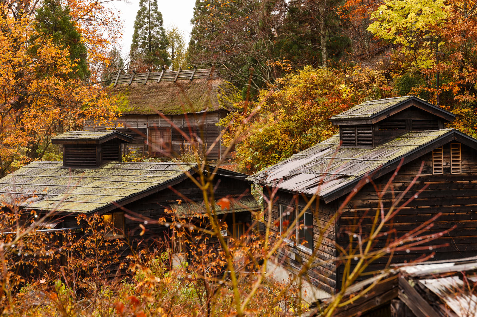 ひどく降り積もった雪と銀山温泉宿の無料の写真素材 - ID.5613フリー素材