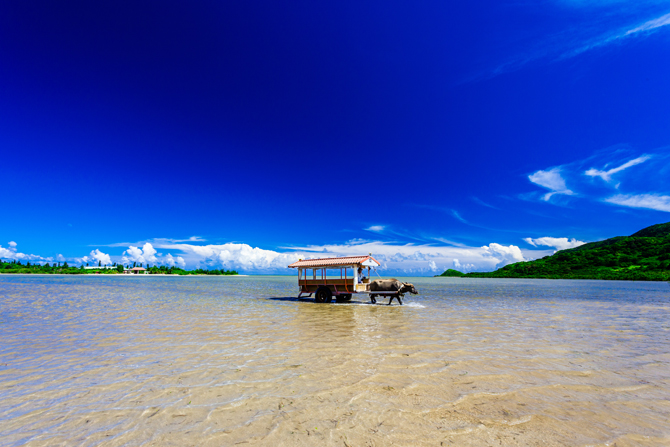 西表島観光のおススメ情報 - motti