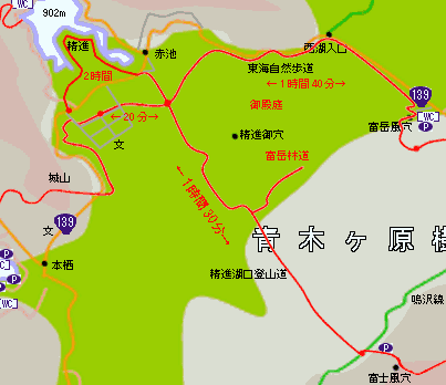 富士山の青木ヶ原樹海を舞台とした映画「追憶の森」の話富士山Walker