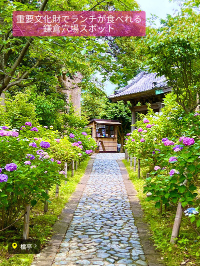 鎌倉の穴場スポット！文豪ゆかりの歴史的建造物「旧大佛次郎茶亭」のお庭を眺めに。antenna アンテナ