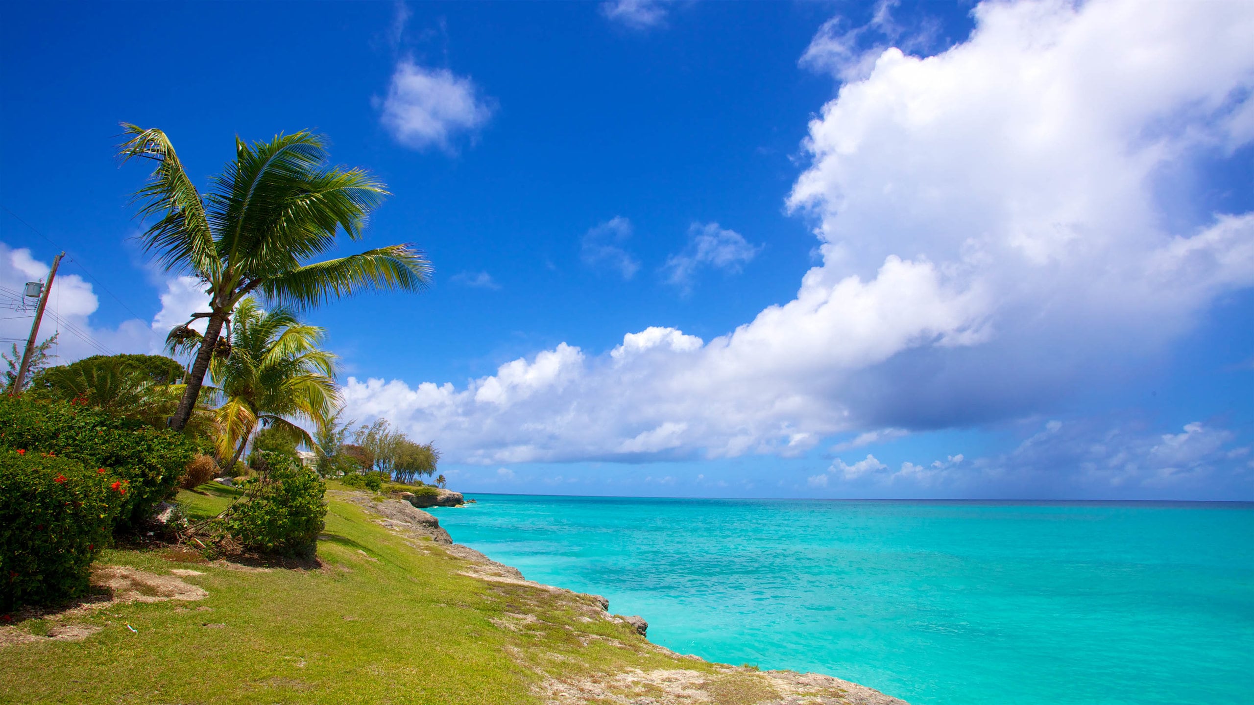 バハマ諸島, バハマ - Bing