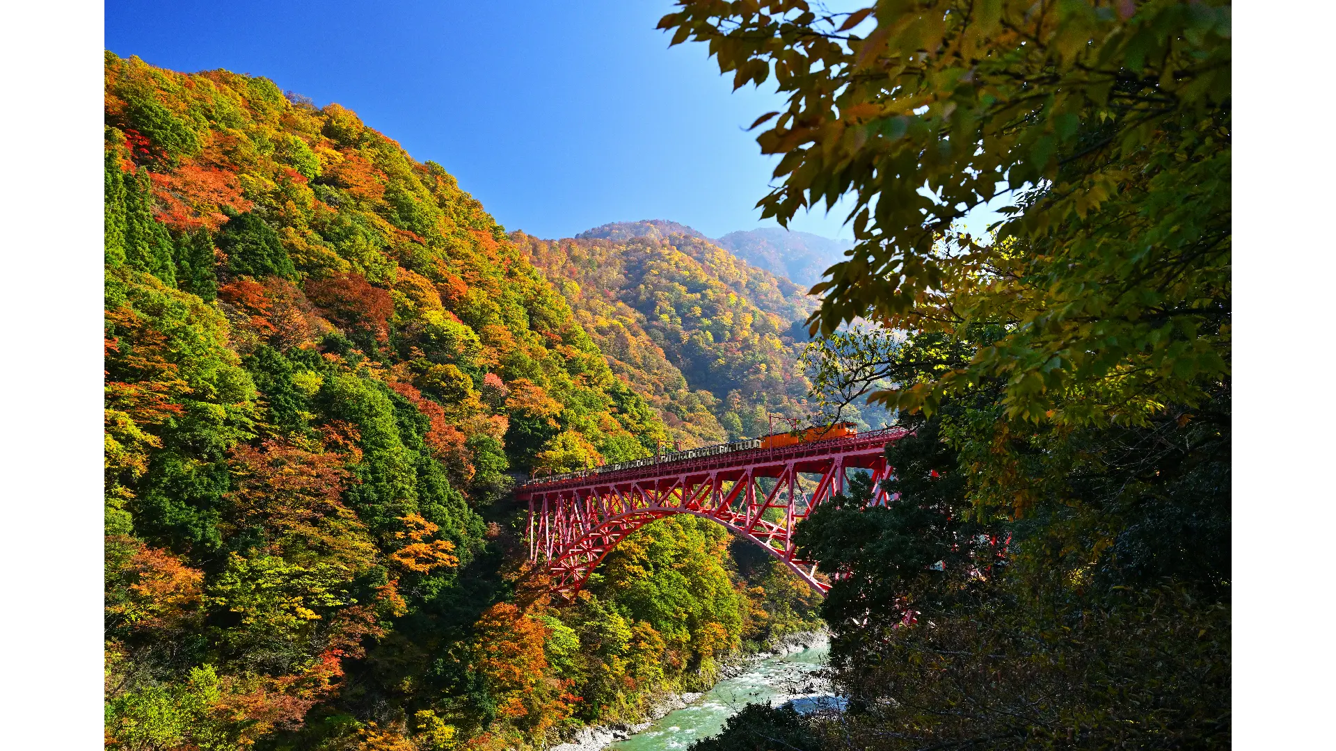 黒部峡谷鉄道５０周年 トロッコ電車の魅力展ニュース イベント情報日本橋とやま館