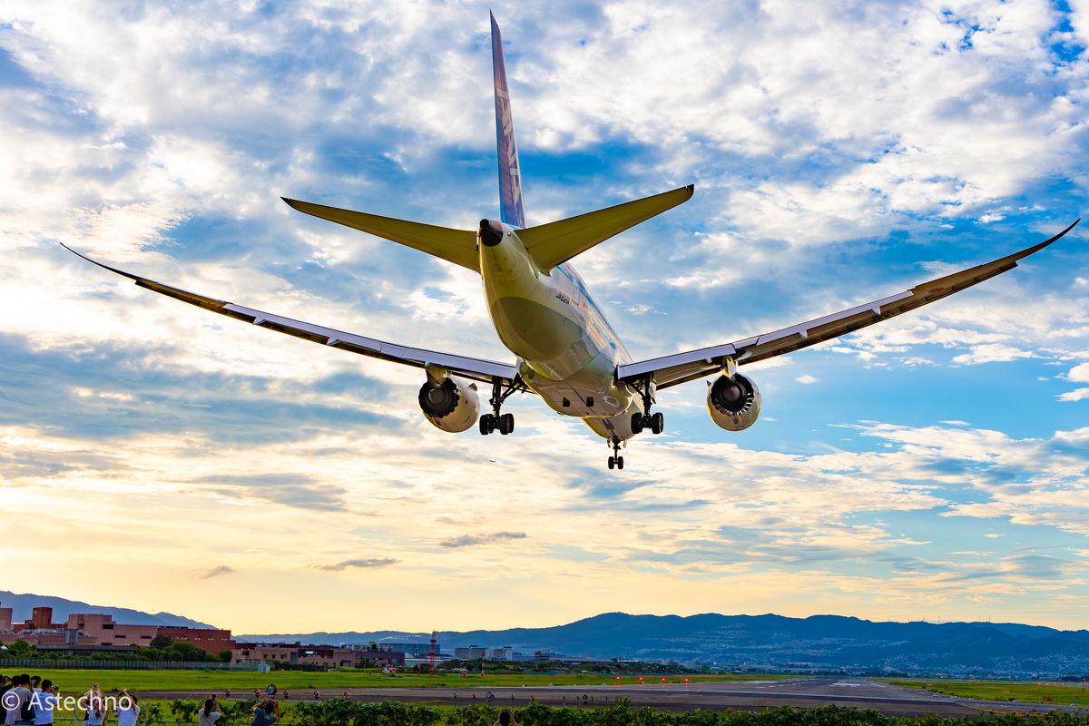 伊丹空港 千里川土手 2023 09