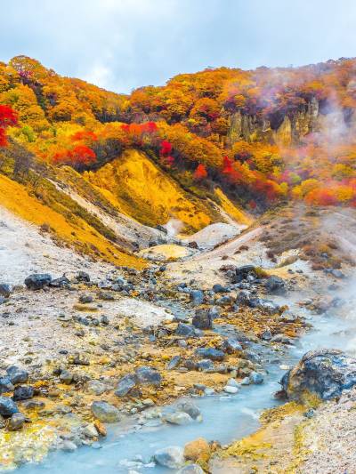 北海道・美瑛 北海道美瑛を巡る1日観光バスツアーアクティビティジャパン