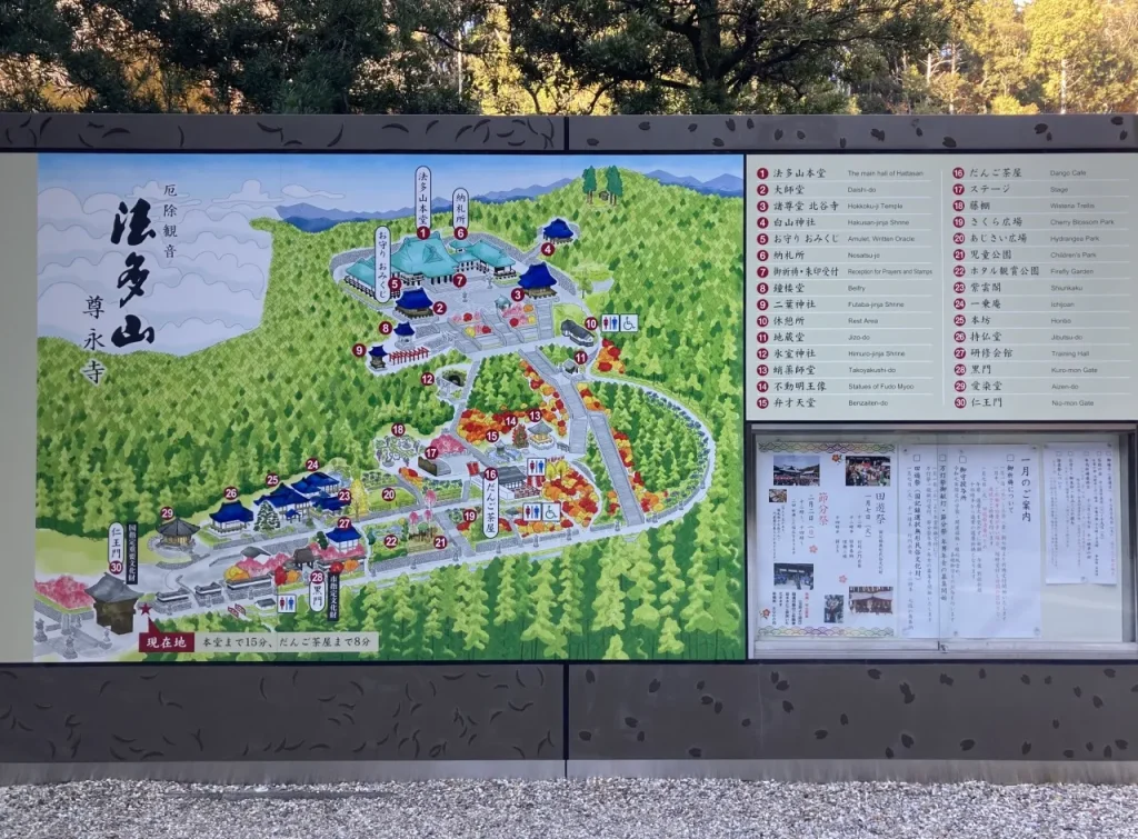 静岡でおすすめのドライブスポット9選！夜デートにぴったりな場所も掲載aumo アウモ