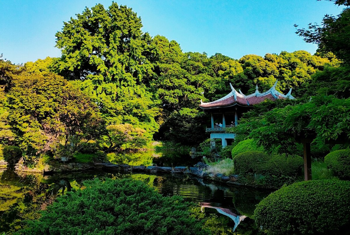 新海誠筆下的浪漫💕～新宿御苑Trip.com 東京