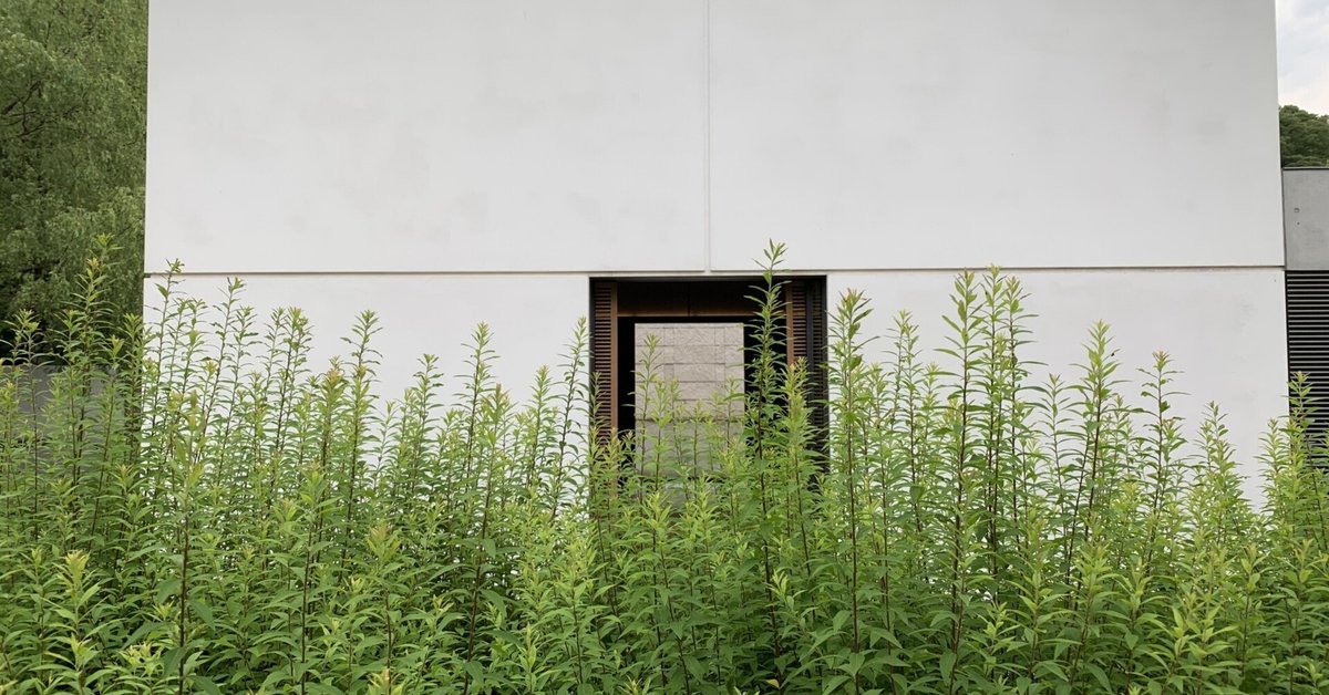 谷口吉郎・吉生記念金沢建築館 - 谷口吉生による「谷口吉郎・吉生記念金沢建築館」・「清らかな意匠 –金沢が育んだ建築家・谷口吉郎の世界–」展