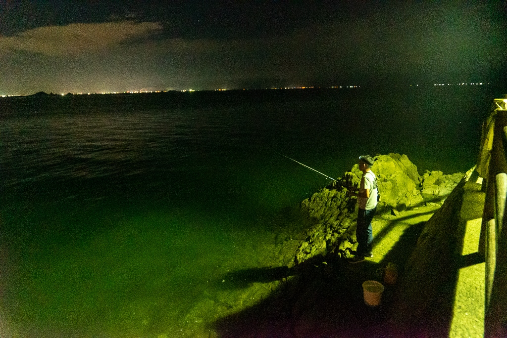 釣行記＞アカイカを陸から狙う 常夜灯の周りに群れ回遊 天草市御所浦町熊本日日新聞社