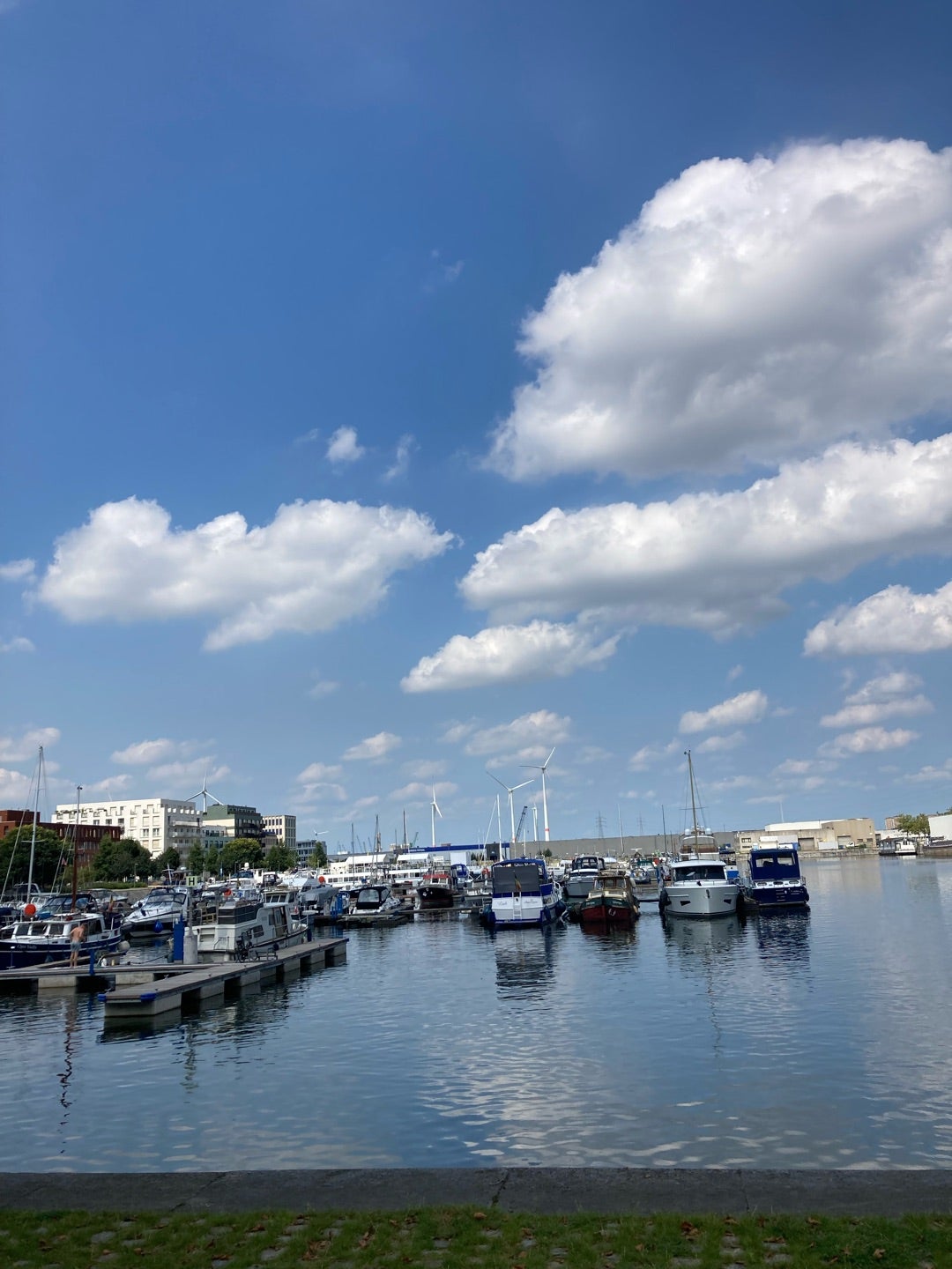 アントワープ・ブルージュ港 港湾概要名古屋港管理組合公式ウェブサイト