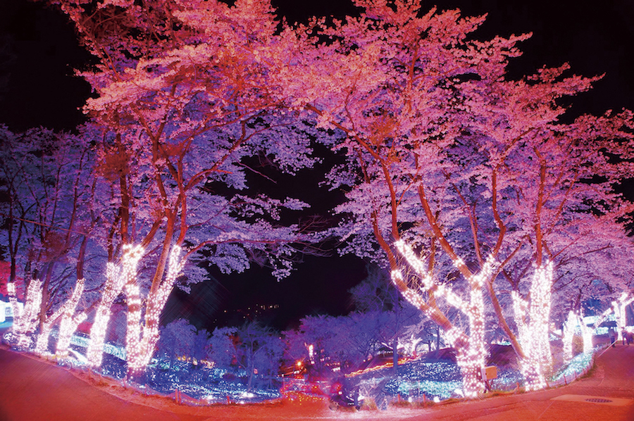 さがみ湖イルミリオン」のイルミネーション楽しみ方完全ガイド！「映画ドラえもん のび太の地球交響楽 ちきゅうシンフォニー