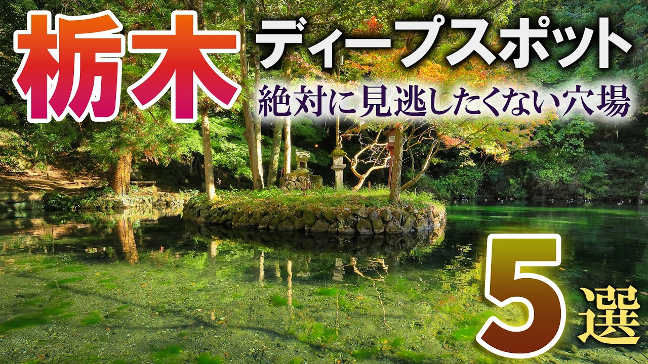 最新 栃木 人気旅ライターおすすめ！絶対楽しい人気穴場遊びスポット・観光やグルメやドライブデートにおすすめ厳選ランキング！人気・穴場スポットランキング！- ＜どこココ＞人気旅ライターが厳選！関東エリアで遊ぶ・楽しむ厳選お出かけ情報ランキング！観光や