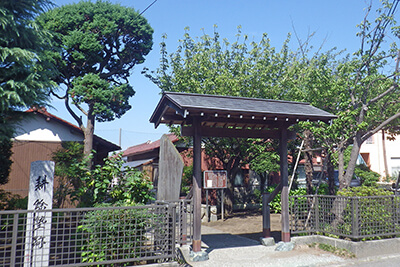 辻堂海水浴場 からの絶景✨ 藤沢市民の皆さんにはお馴染みの辻堂海岸からは 江の島が一望できますよ🏝