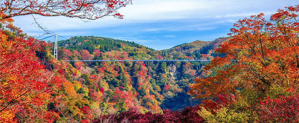 九重夢大吊橋日本一の高さの吊橋から見える滝も絶景！旅アトリーチ
