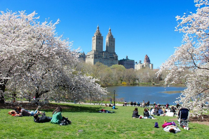 セントラルパークでやるべき17のこと - Hellotickets