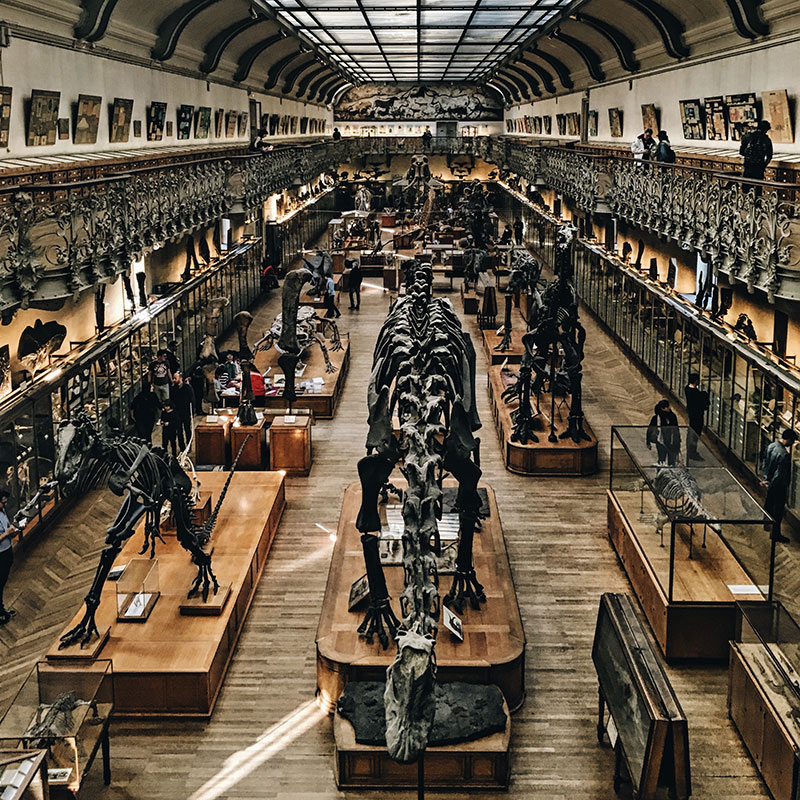 東京マニアック博物館 おもしろ珍ミュージアム案内 大都会TOKYOの片すみで-