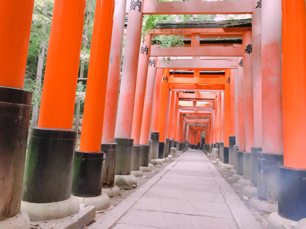 京都 伏見稲荷大社で人無しの千本鳥居写真を撮影するには？scent of life
