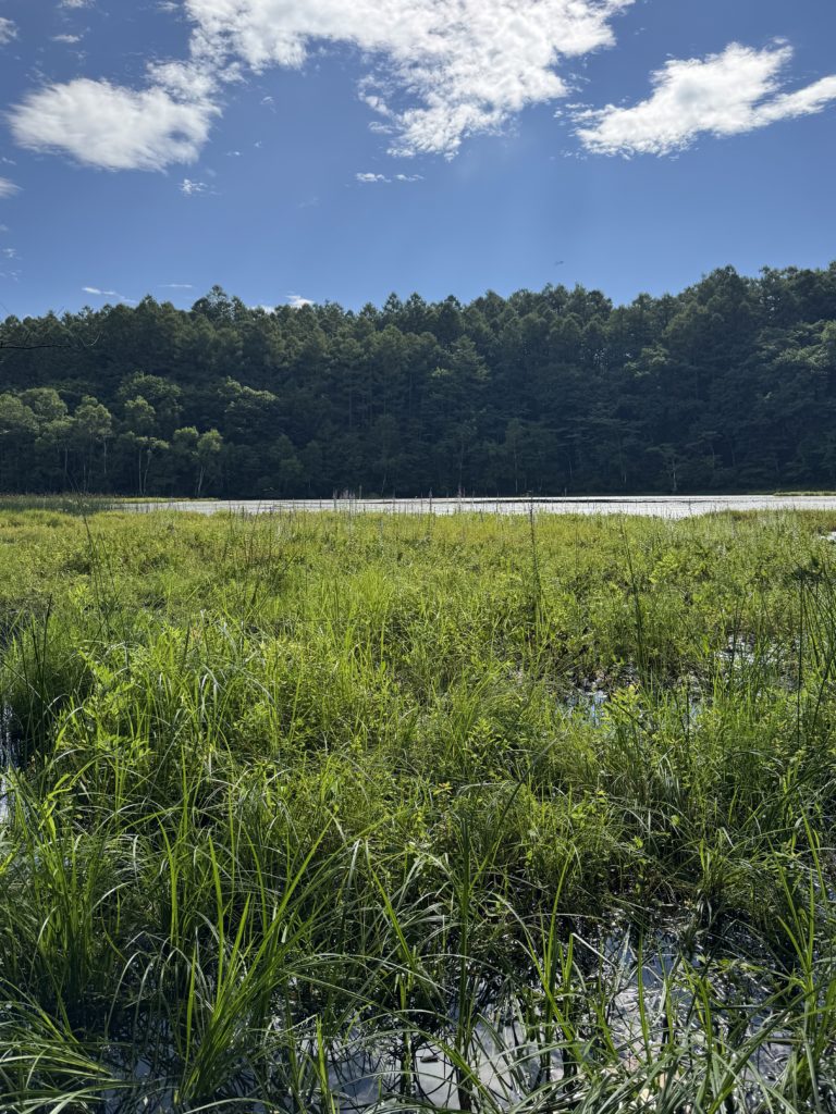 キャンプ場の下見はするべき？キャンプ場の下見が重要な理由を