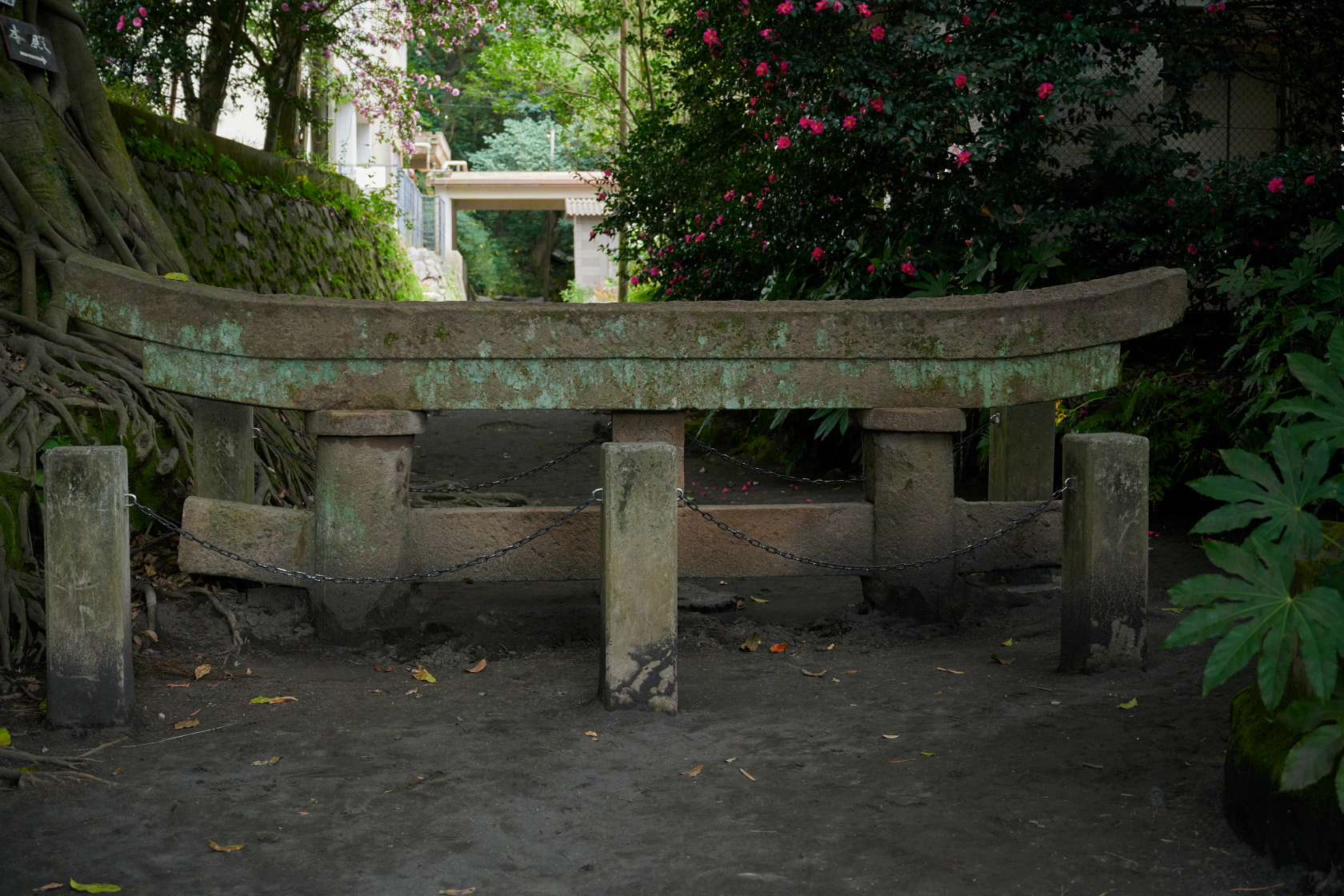 黒神埋没鳥居 スポット情報・アクセス桜島観光ポータル みんなの桜島