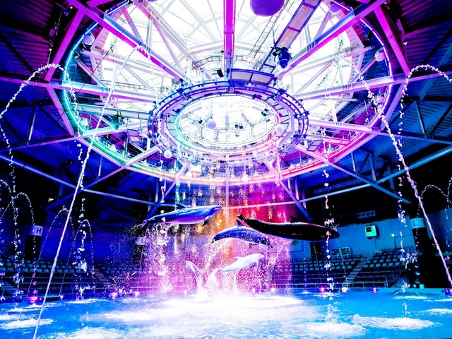 関西夏のおすすめスポット20！関西から日帰りで行けるお出かけスポット - まっぷるウェブ