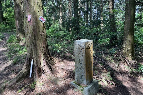 四国 女子一人旅におすすめの観光スポット11選