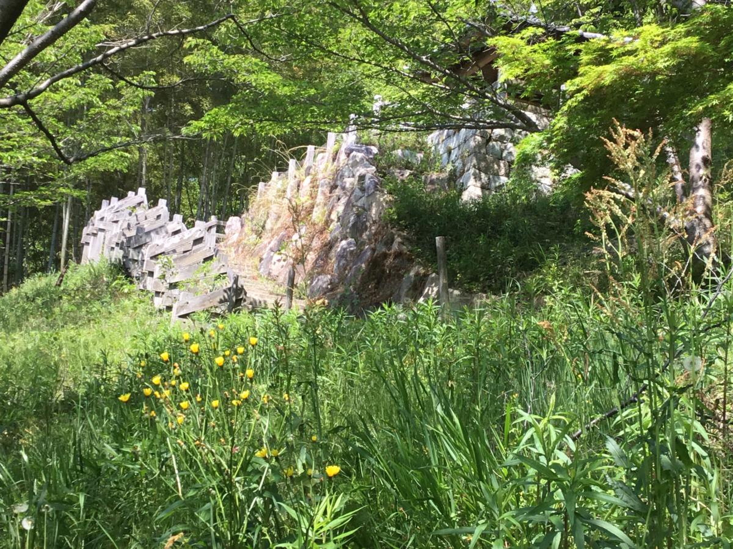 八幡山公園と宇都宮タワーをバスで観光 行き方・見どころ・所要時間