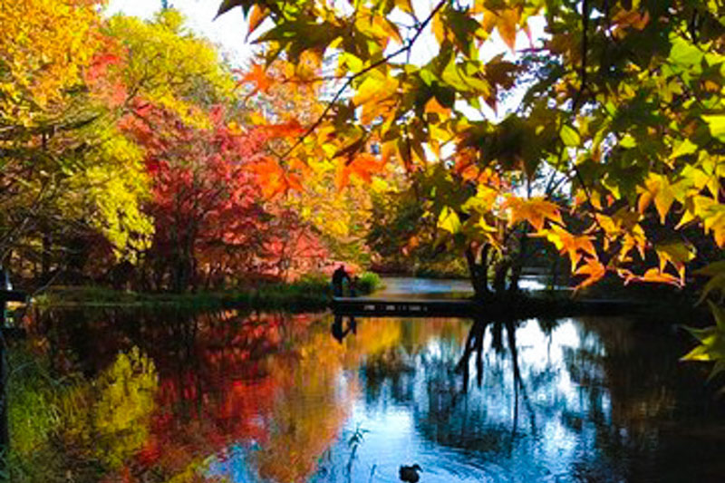 軽井沢ってどんなとこ